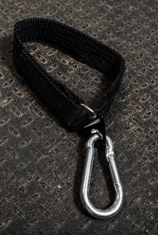 Heavy-Duty Adjustable Strap with Carabiner